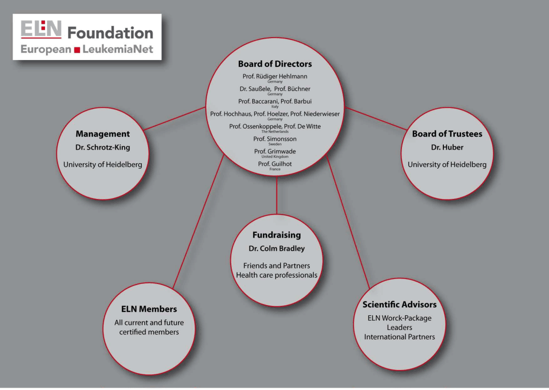 bStructureoftheELN-Foundation.png
